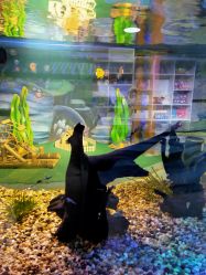 -酷嗒动物文化乐园(cutezoo西溪乐天城店)