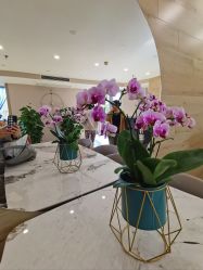 -酉嘉瑜伽YO+YOGA