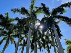 -三亚海棠湾万丽度假酒店