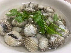 -金砂阿洲鱼册店