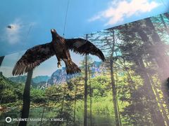 -房山世界地质公园博物馆