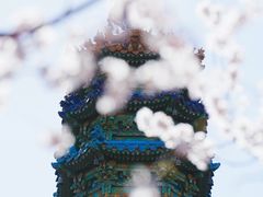 -颐和园