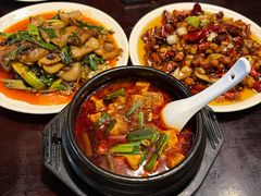 -陈麻婆豆腐总店