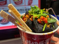 -黑色经典臭豆腐·湖南特产(坡子街店)