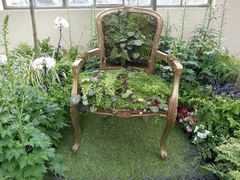 -墨尔本皇家植物园