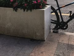 -Cafe del Volcan(永康路店)