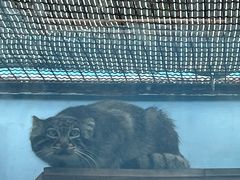 -青藏高原野生动物园
