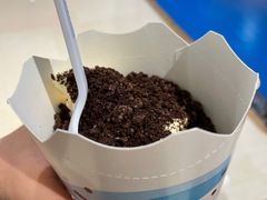 桂花奥利奥麦旋风-麦当劳(龙湖时代天街店)