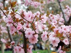 -江南大学(蠡湖校区)