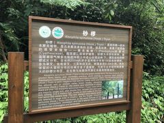 -四洞沟景区