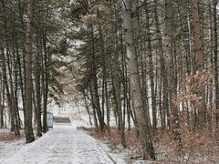 -帽儿山国家森林公园