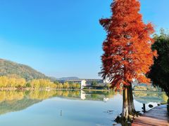 -明月山天沐温泉度假村