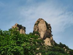 -大岭沟猕猴桃谷风景区