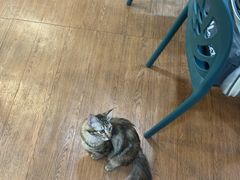 -荔康动物医院(康王北路店)