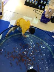 -爱婴室(上海浦建路店)