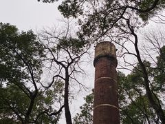 -马王堆汉墓遗址