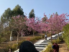 -盈香心动乐园