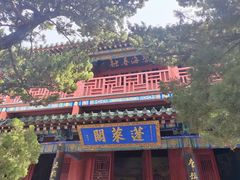 -蓬莱阁景区