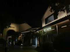 -雅达·阳羡溪山小镇中心