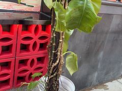 -龚印记牛骨牛杂屋·四代传承(珠影星光城店)