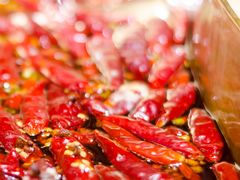 -小龙坎火锅(总店)