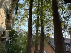 -一尺花园(安和花园店)