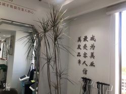 -镁连社·美联社