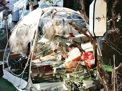 -东吴饭店(十全街店)