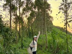 -黄埔油麻山森林公园