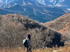 -灵山