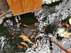 -上海大自然野生昆虫馆(东方明珠·爬宠昆虫探索中心)