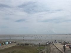 -南汇新城海滩