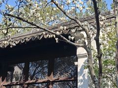 -不晚酒店(苏州观前平江路店)