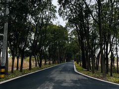 -同里国家湿地公园