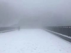 -紫金山山顶公园