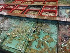 自选海鲜-景好海鲜餐厅(大鹏必选旅游店)