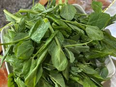 -昭通天麻竹荪火腿鸡(严家地店)