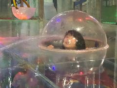 -陕西自然博物馆