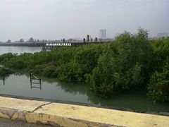 -北海金海湾红树林生态旅游区