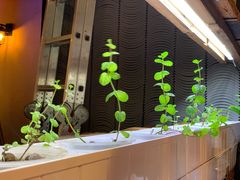 -望京一号·重庆江湖菜(工体店)