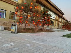 -南宫五洲植物乐园