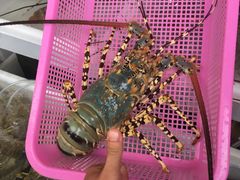 -班赞海鲜市场