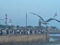 -星海广场