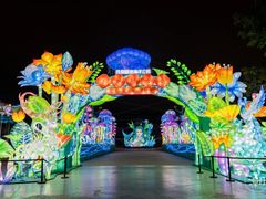 -海合安成都极地海洋公园