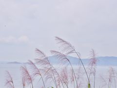 -东极岛景区