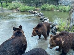 -北京野生动物园