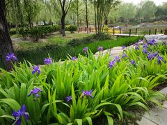 -燕郊植物园