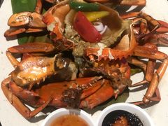 -东海岸人工湖美食村