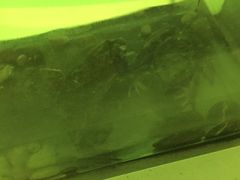 -中国湿地博物馆