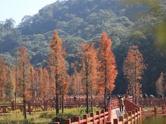 -广州市石门国家森林公园